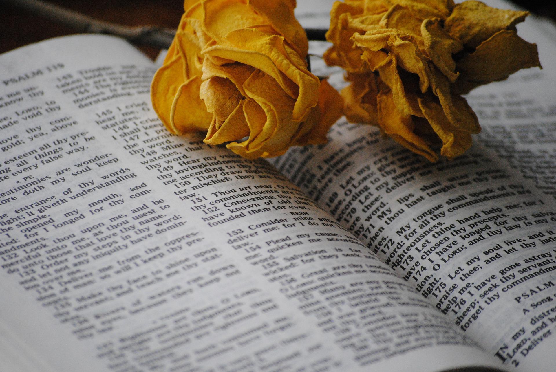 Bibel mit Rosenblüten darauf